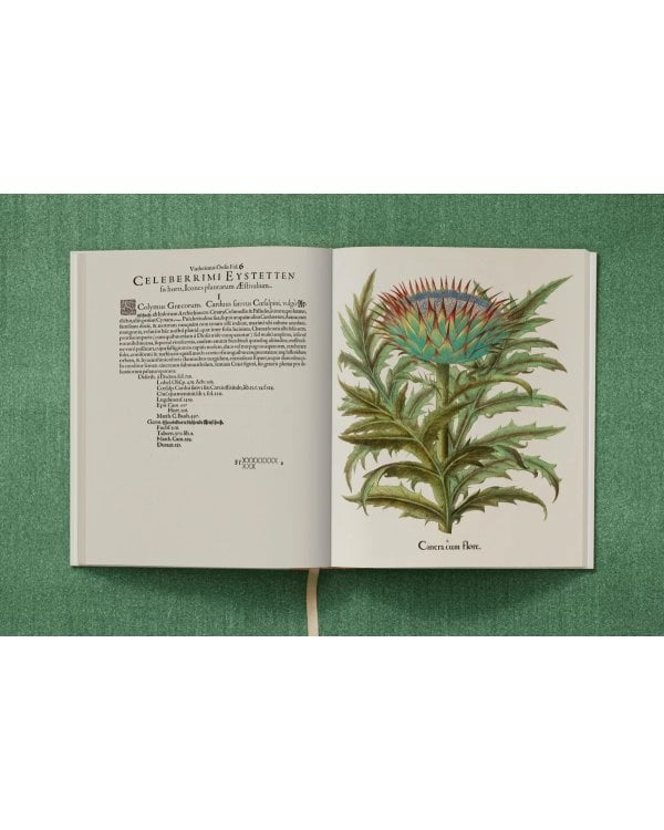 Basilius Besler. The Garden at Eichstätt