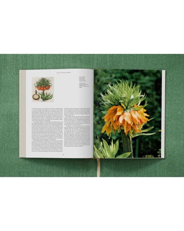 Basilius Besler. The Garden at Eichstätt