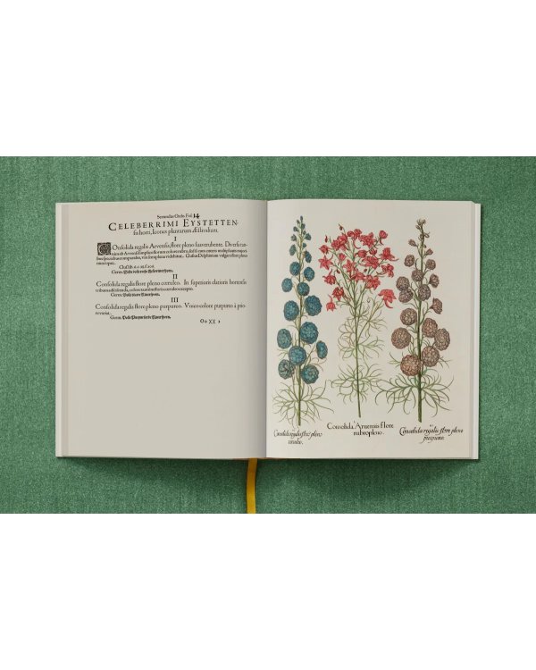 Basilius Besler. The Garden at Eichstätt