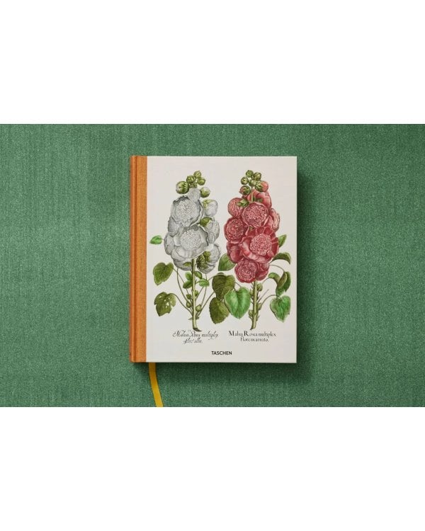 Basilius Besler. The Garden at Eichstätt