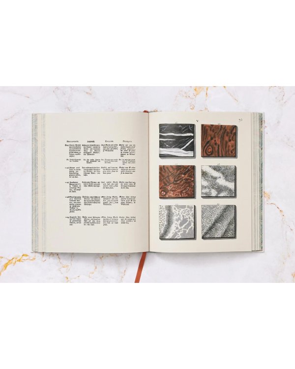 Jan Christiaan Sepp. The Book of Marble