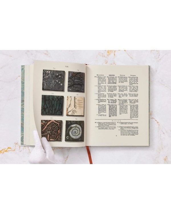 Jan Christiaan Sepp. The Book of Marble