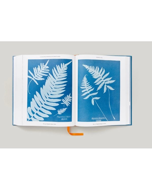 Anna Atkins. Cyanotypes