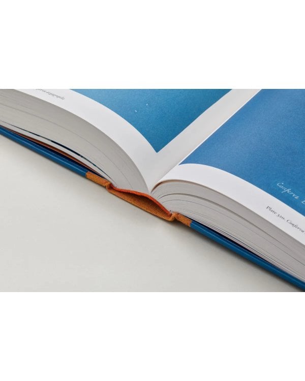 Anna Atkins. Cyanotypes