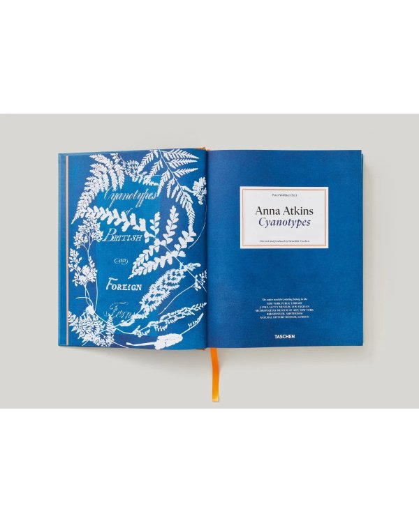 Anna Atkins. Cyanotypes