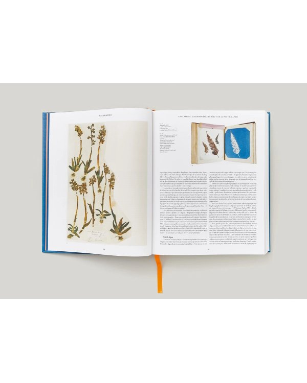 Anna Atkins. Cyanotypes