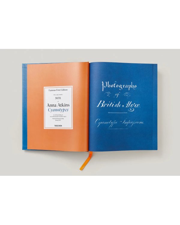 Anna Atkins. Cyanotypes