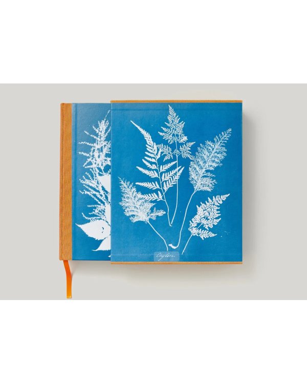 Anna Atkins. Cyanotypes