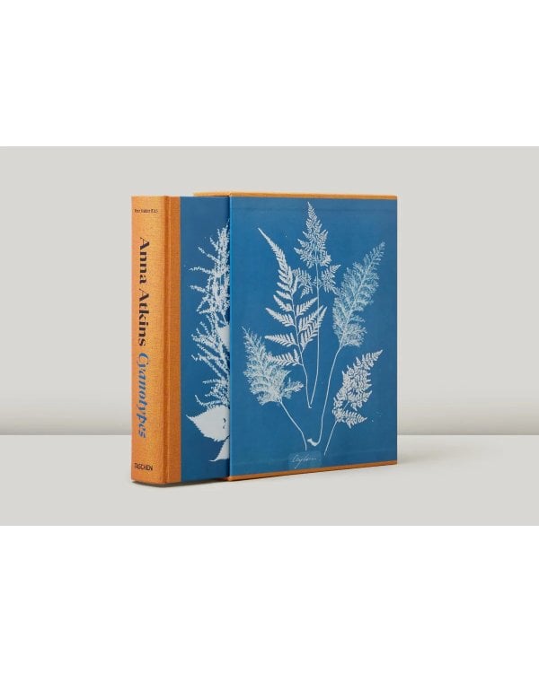 Anna Atkins. Cyanotypes