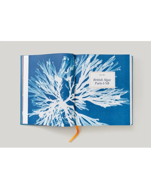 Anna Atkins. Cyanotypes