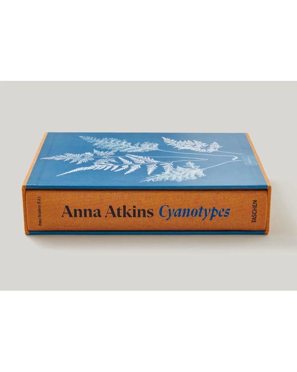 Anna Atkins. Cyanotypes