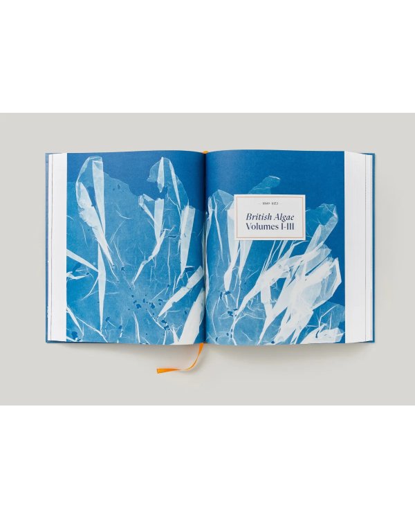 Anna Atkins. Cyanotypes