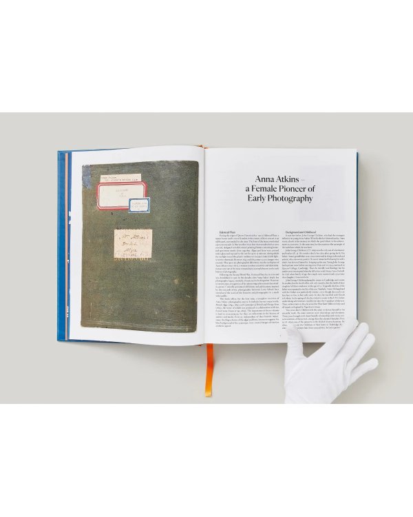 Anna Atkins. Cyanotypes