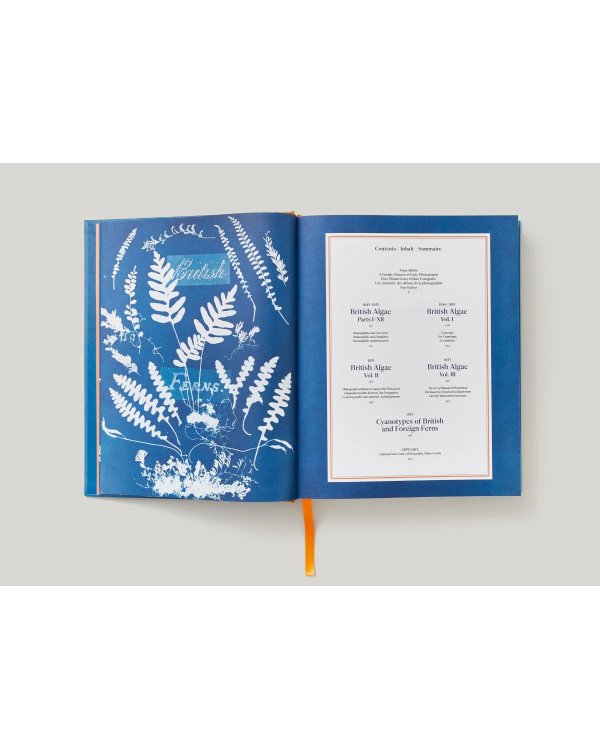 Anna Atkins. Cyanotypes