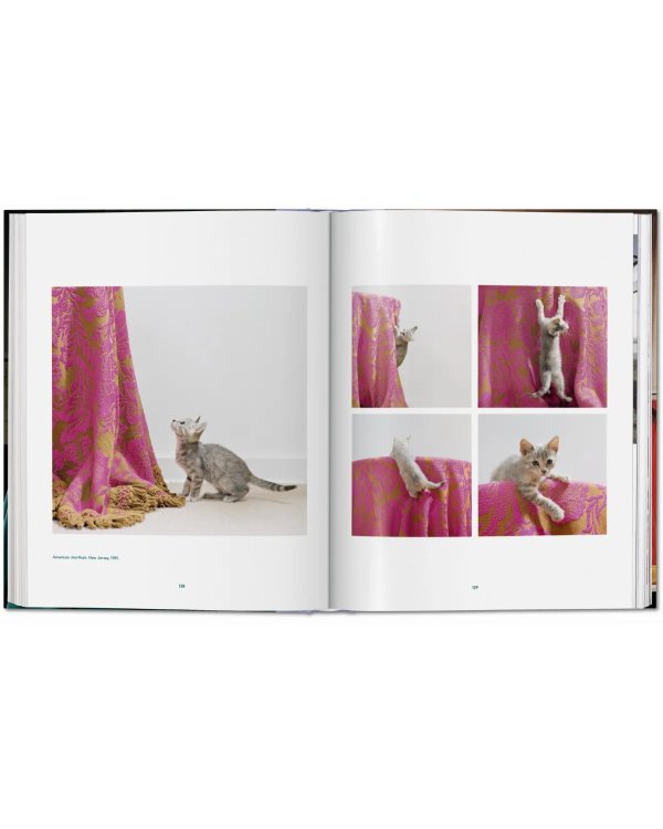 Walter Chandoha. Cats. Photographs 1942–2018