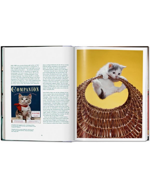 Walter Chandoha. Cats. Photographs 1942–2018