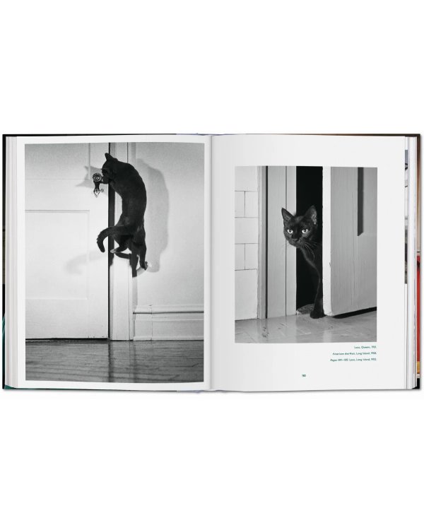 Walter Chandoha. Cats. Photographs 1942–2018