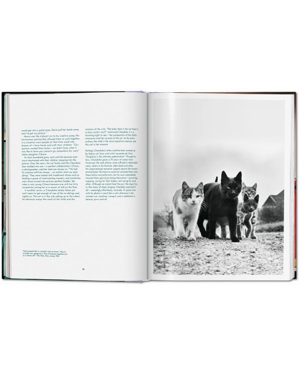 Walter Chandoha. Cats. Photographs 1942–2018