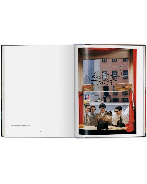 Walter Chandoha. Cats. Photographs 1942–2018