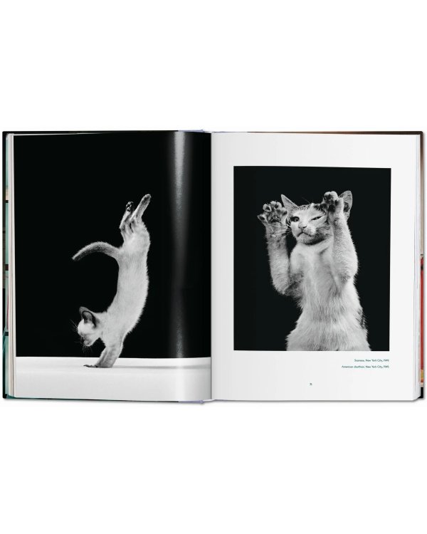 Walter Chandoha. Cats. Photographs 1942–2018