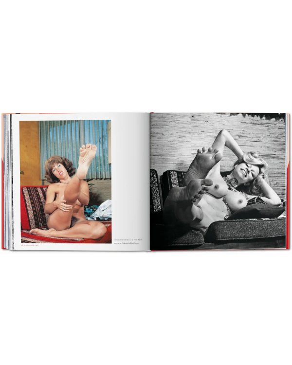 The Big Book of Legs