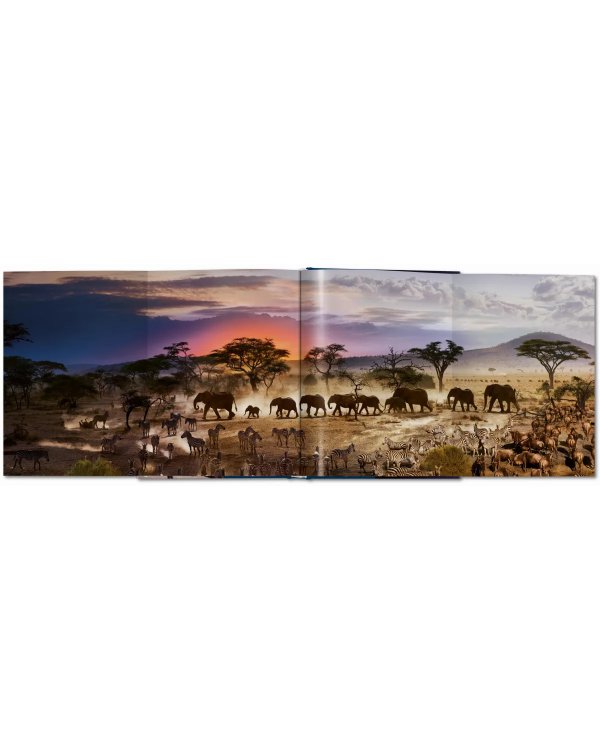 Stephen Wilkes. Day to Night