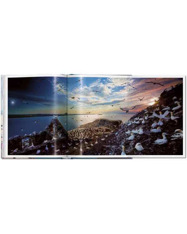 Stephen Wilkes. Day to Night