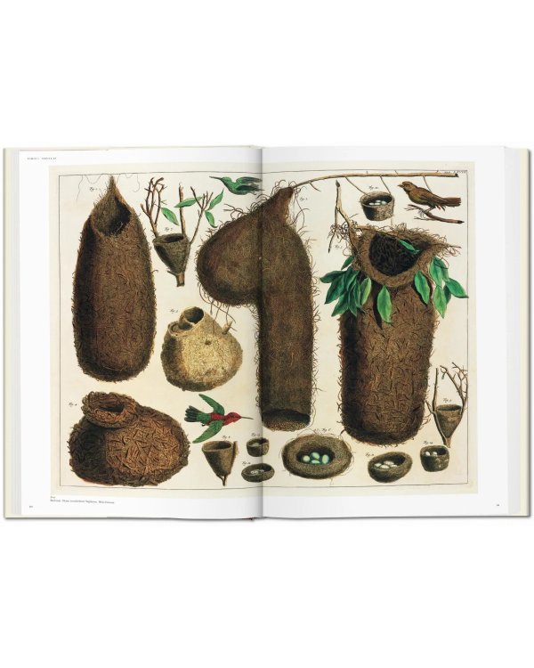 Seba. Cabinet of Natural Curiosities