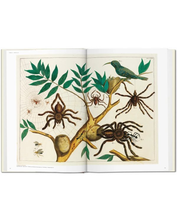 Seba. Cabinet of Natural Curiosities