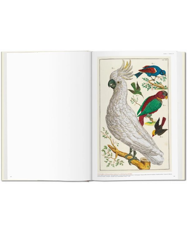 Seba. Cabinet of Natural Curiosities