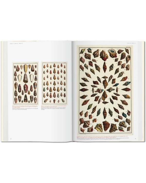 Seba. Cabinet of Natural Curiosities