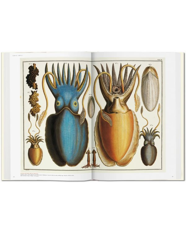 Seba. Cabinet of Natural Curiosities