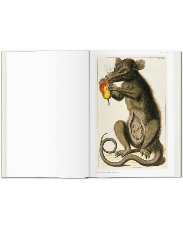 Seba. Cabinet of Natural Curiosities