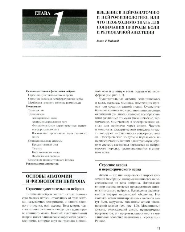 Регионарная анестезия: Самое необходимое в анестезиологии. 5-е изд