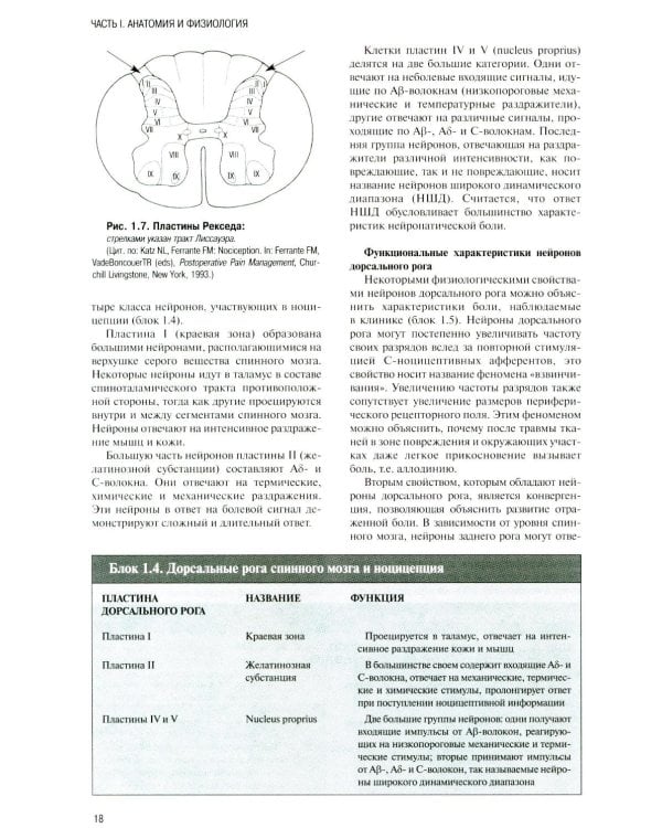 Регионарная анестезия: Самое необходимое в анестезиологии. 5-е изд