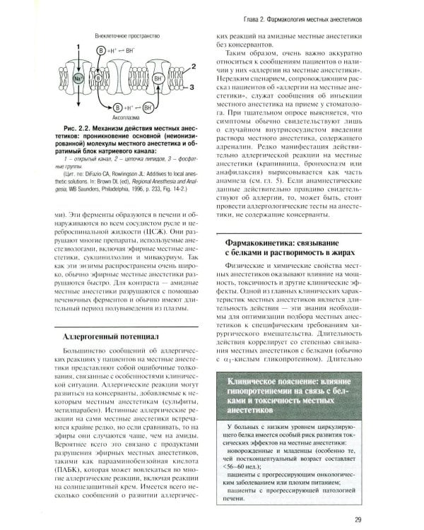 Регионарная анестезия: Самое необходимое в анестезиологии. 5-е изд