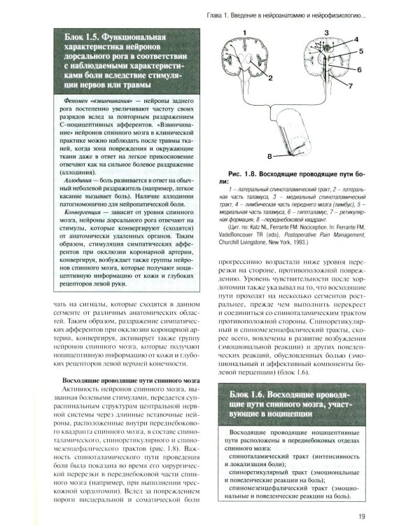Регионарная анестезия: Самое необходимое в анестезиологии. 5-е изд