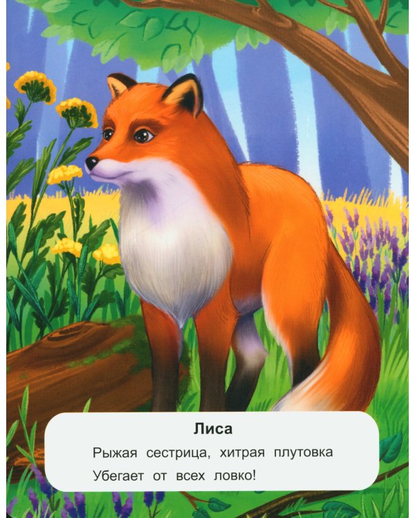 Лесные животные: стихи