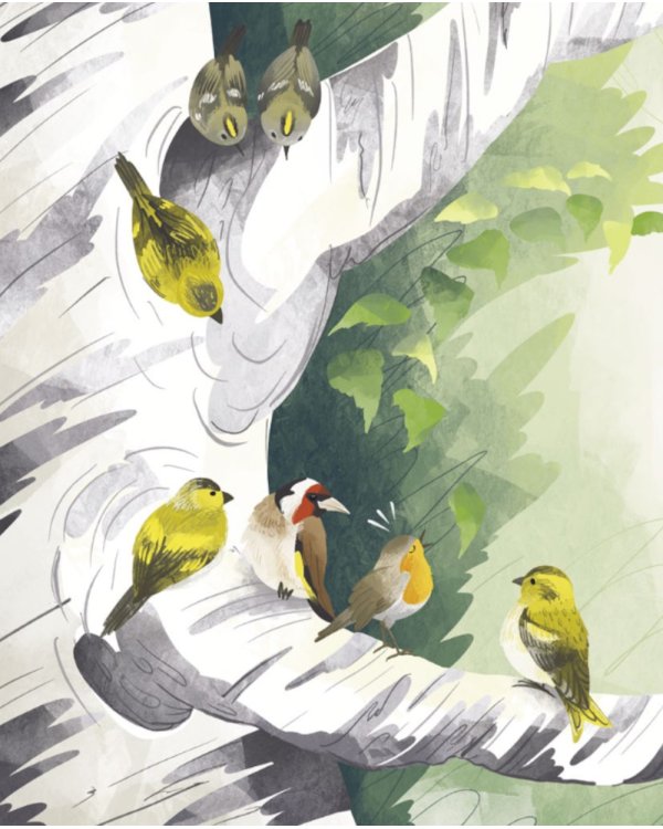 По Москве с Московкой