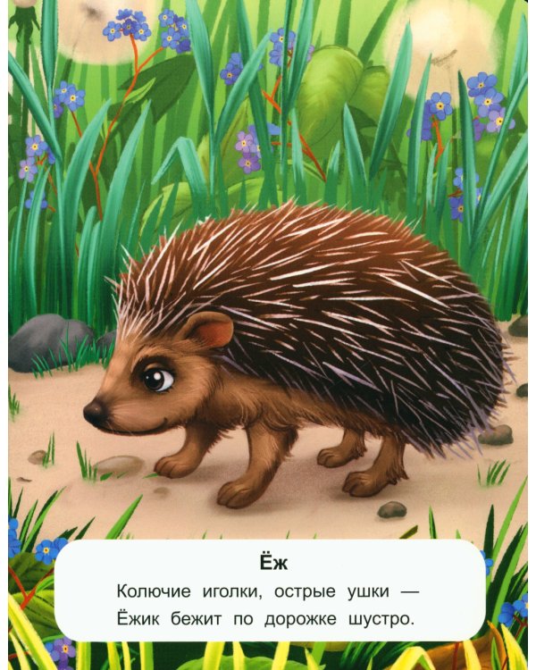 Лесные животные: стихи