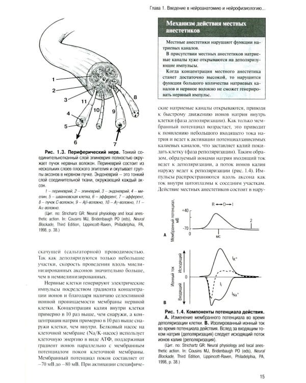 Регионарная анестезия: Самое необходимое в анестезиологии. 5-е изд