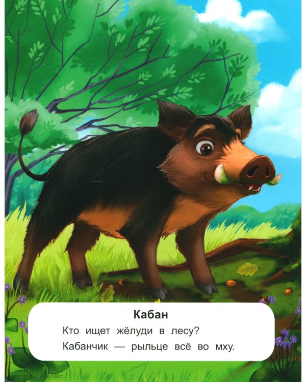 Лесные животные: стихи