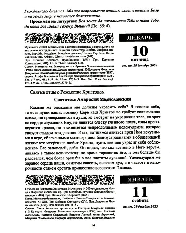 Души молитвенный покров. Православный календарь с чтением на каждый день. 2025 год