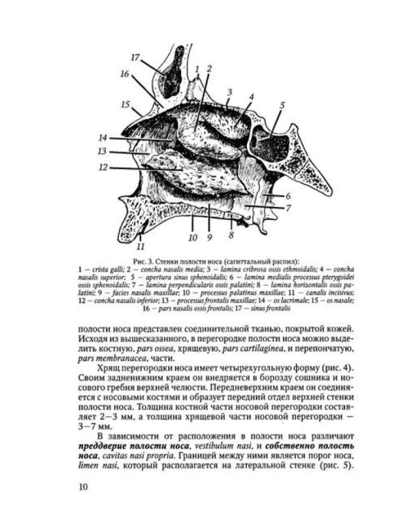 Функциональная анатомия ЛОР-органов. 2-е изд., стер