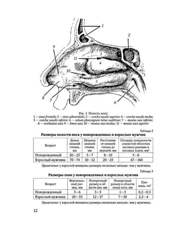 Функциональная анатомия ЛОР-органов. 2-е изд., стер
