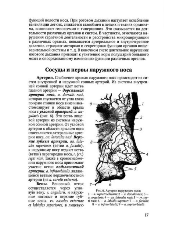Функциональная анатомия ЛОР-органов. 2-е изд., стер