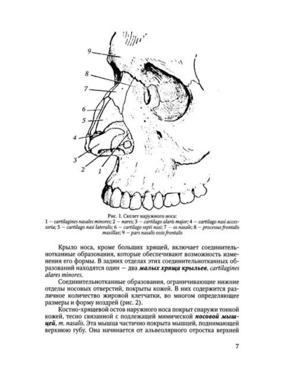 Функциональная анатомия ЛОР-органов. 2-е изд., стер