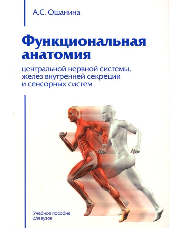 Функциональная анатомия центральной нервной системы, желез внутренней секреции и сенсорных систем: Учебное пособие для ВУЗов