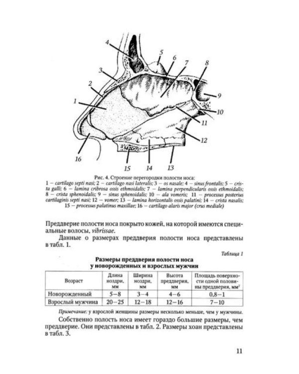 Функциональная анатомия ЛОР-органов. 2-е изд., стер