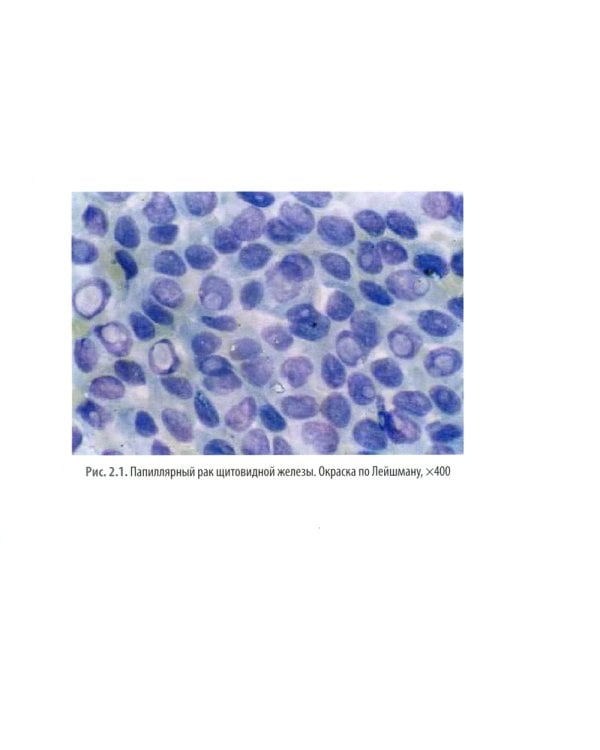 Морфологические методы диагностики: руководство для врачей